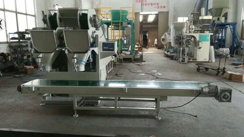 漯河土豆包裝機(jī) 瑞利技術(shù)開發(fā)的創(chuàng)新與報(bào)價(jià)解析